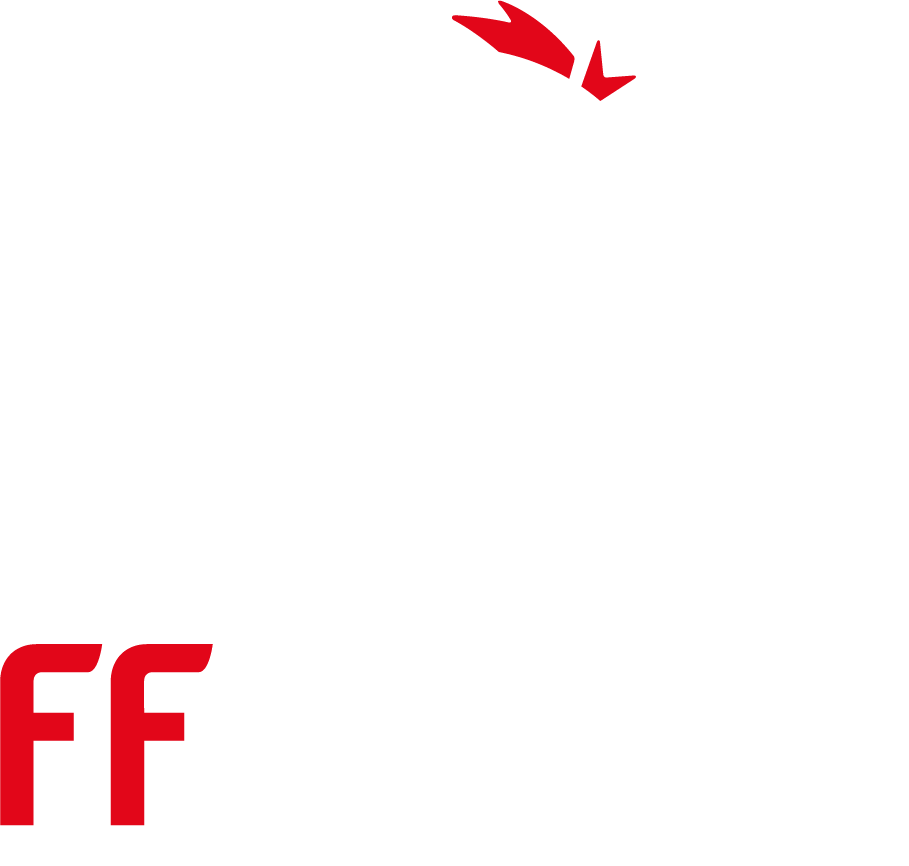 FFvolley logo